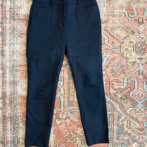 Loft navy skinny pants